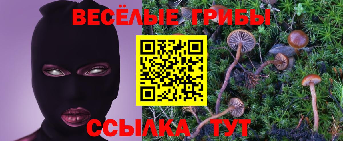 Псилоцибиновые грибы ЛСД  Вход с VPN  Галлюциногенные грибы Psilocybe  Балашиха 
